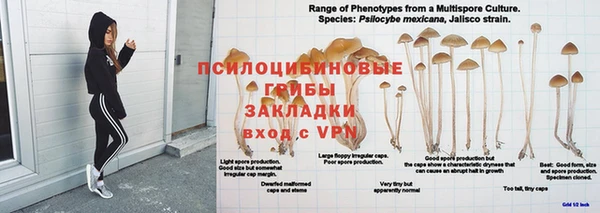 гидра Козельск