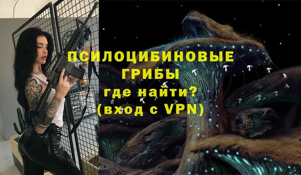 меф Инсар