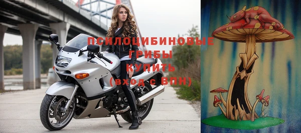 эйфоретик Алексеевка