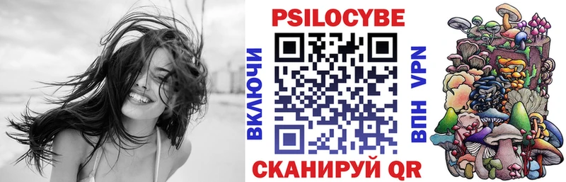 нарко площадка наркотические препараты  Томмот  Псилоцибиновые грибы Psilocybine cubensis 
